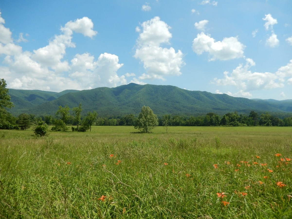 The Ultimate Guide for Kentucky Land Buyers: Tips, Tricks, and Essential Considerations